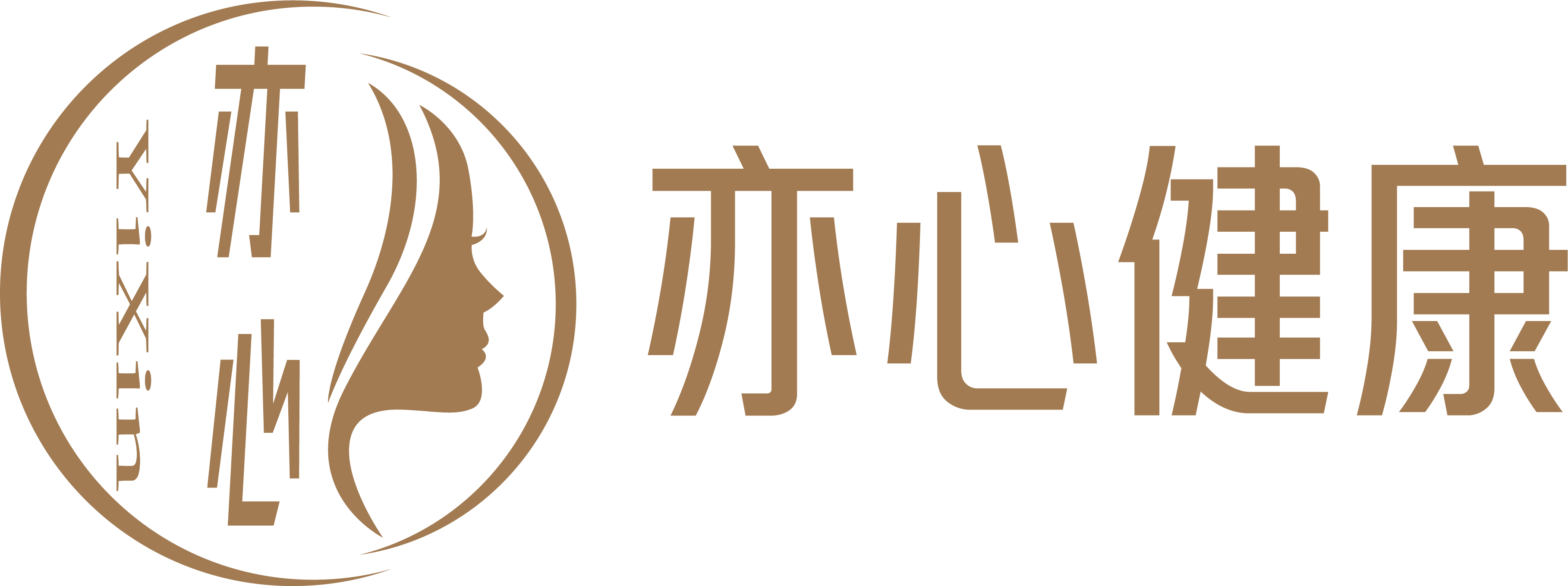 网站
